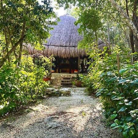 Glamping Bunga Lotus Hotel Tulum Ngoại thất bức ảnh