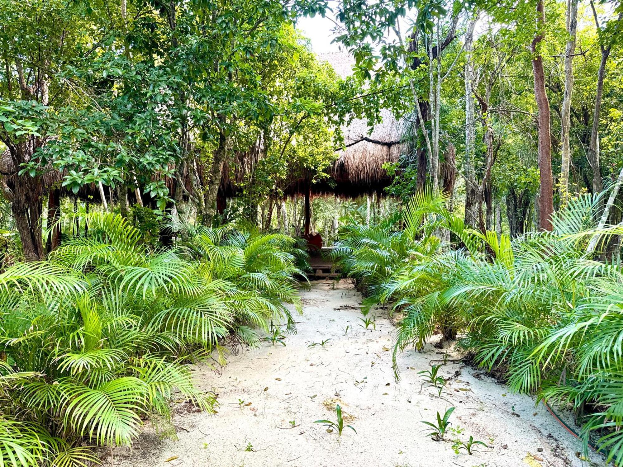 Glamping Bunga Lotus Hotel Tulum Ngoại thất bức ảnh